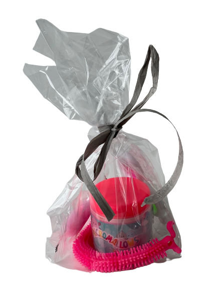 Party Bags -Squishmallows Micromallow + Fidgets.