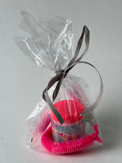 Party Bags -Squishmallows Micromallow + Fidgets.
